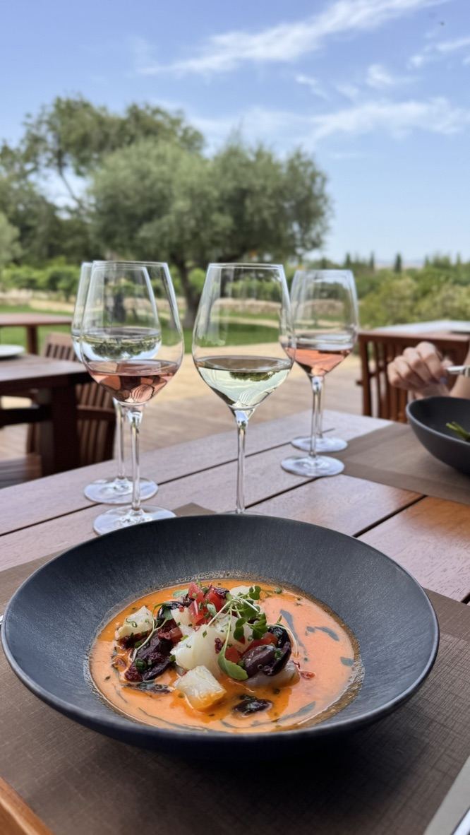 Lunch at the winery — four wine pairings