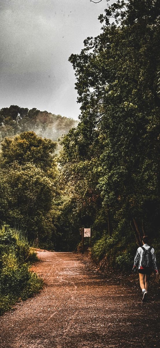 Into the mist — forest trail, Costa Brava