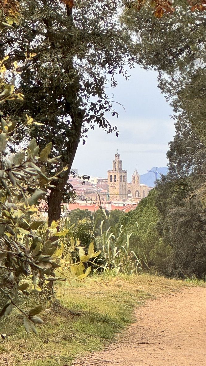 A cathedral glimpsed through the oaks