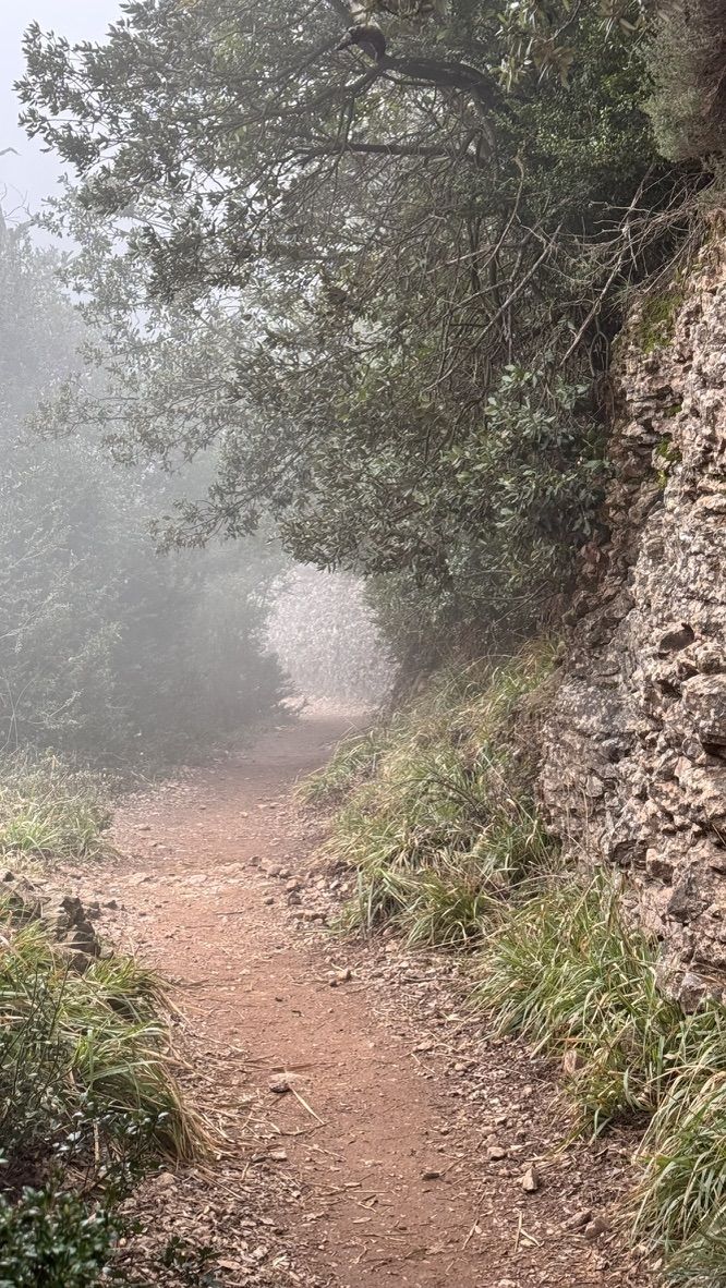 Ancient stone walls in the morning mist